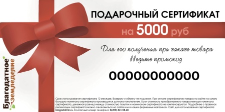 Подарочный сертификат 5000